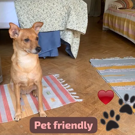 Yellow & Apartment Triest