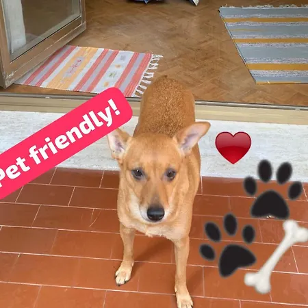 Apartment Yellow & Triest