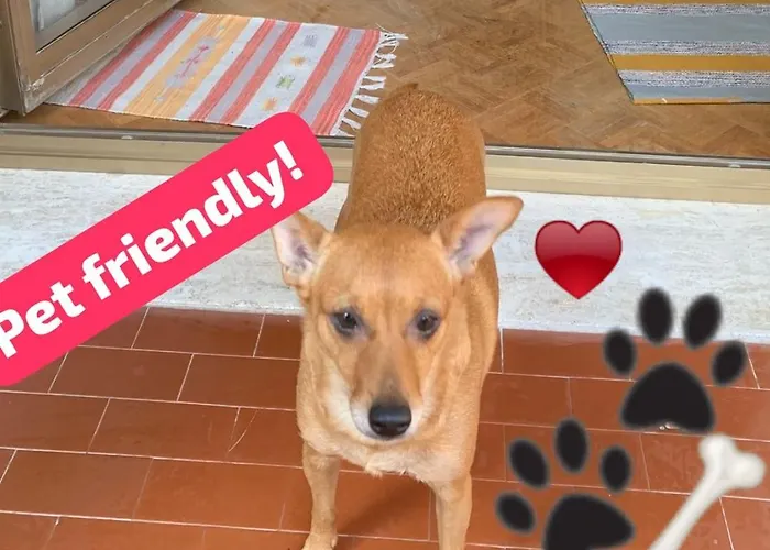 Apartment Yellow & Triest