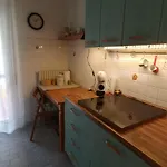 Yellow & *